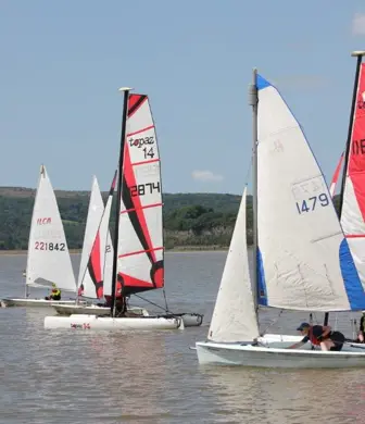 A group of dinghies sailing on the water on a sunny date with the shore in the background