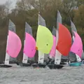 A line of dinghies with colourful (pink, yellow and red) spinnakers sailing on the water