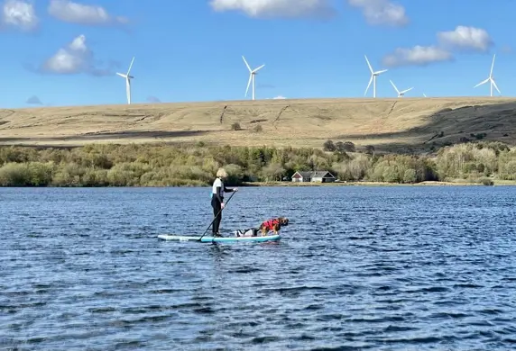 A person stand up paddle boarding on the reservoir at Watergrove Windsurfing Club with the wind turbines on the shore in the background