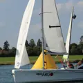 A man sailing a Topz Argo dinghy on a lake with other dinghies in the background