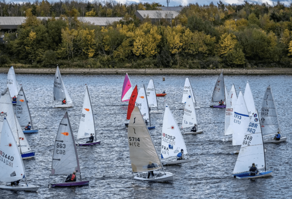 A large group of Laser dinghies sailing on calm water with the trees on the shoreline