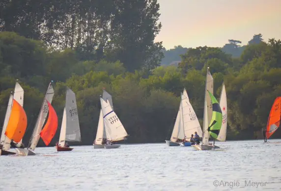 A group of dinghies, some with colourful spinnakers, sailing on a lake with large trees on the shore in the background