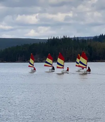 Five small dinghies with red, yellow and blue sails sailing on the water with the wooded shoreline in the background