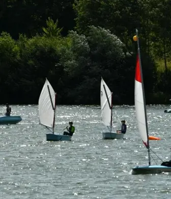 A variety of dinghies sailing on a lake on a sunny day with the trees on the shore in the background