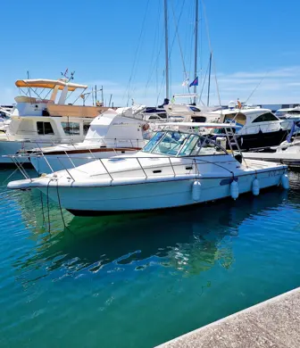 A variety of powerboats and cruisers moored in a marina against a beautiful blue sky